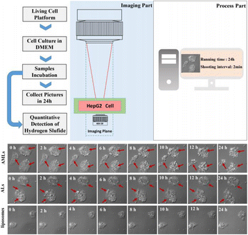 figure 159