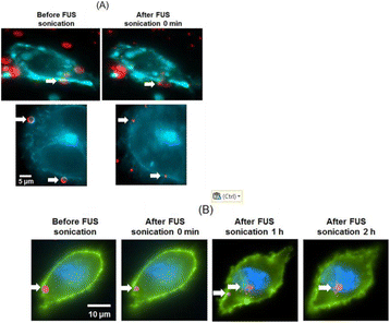 figure 169