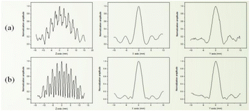 figure 216