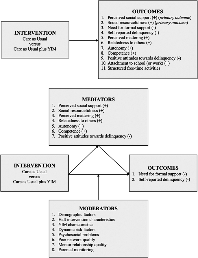 Effectiveness, working mechanisms, and implementation of youth 