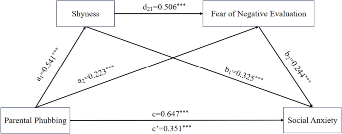 Phubbing and its impact on the individual's psychological well-being