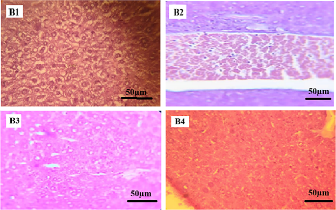 glutathione in plants Plant Glutathione Peroxidases: Non-Heme Peroxidases with Large Functional  Flexibility as a Core Component of ROS-Processing Mechanisms and Signalling