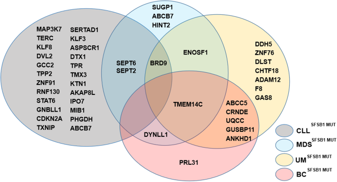 The Biological Function And Clinical Significance Of Sf3b1 Mutations In Cancer Biomarker Research Full Text