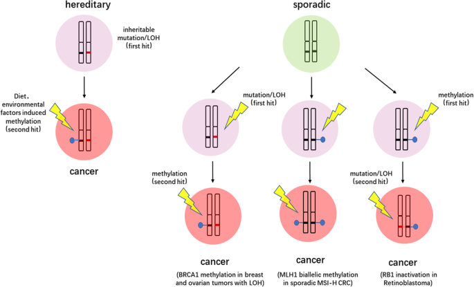 cancer genetic hits