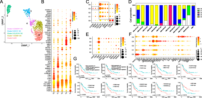 Single Cell Map Of Diverse Immune Phenotypes In The Acute Myeloid Leukemia Microenvironment Biomarker Research Full Text