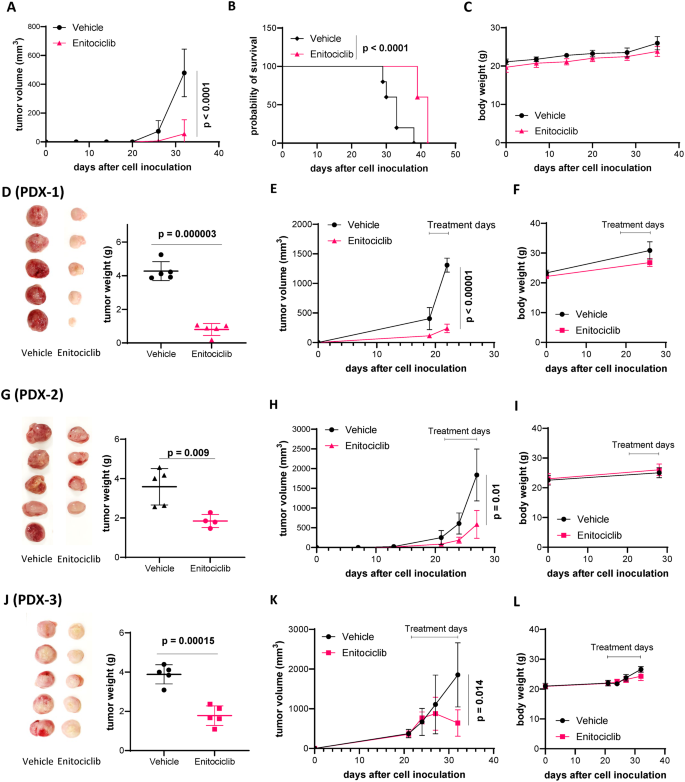 what is data transcription in research figure 2