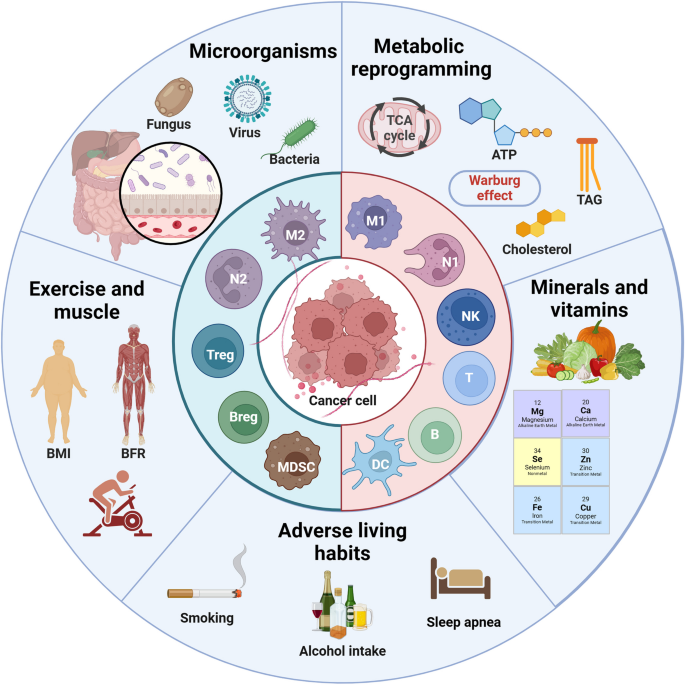 antigen processing and presentation nature review figure 3