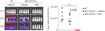 figure 25