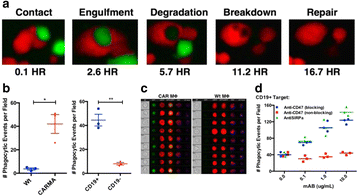 figure 27