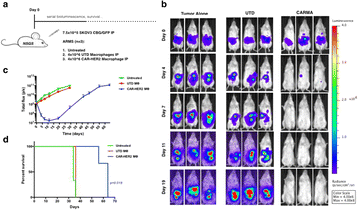 figure 28