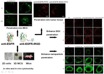 figure 32