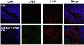 figure 33