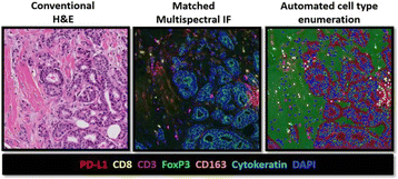 figure 44