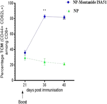 figure 51