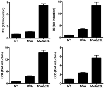 figure 52