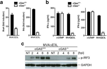 figure 54