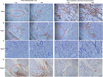 figure 66