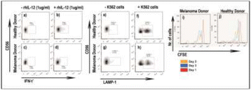 figure 75