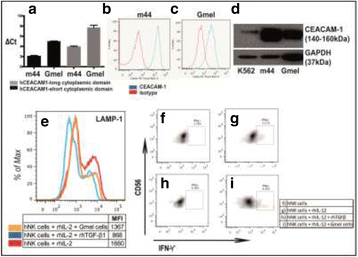 figure 78