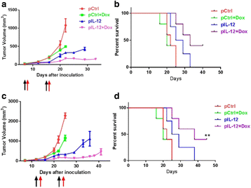 figure 34