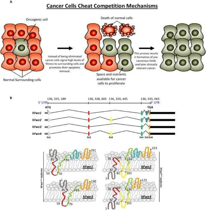 figure 64