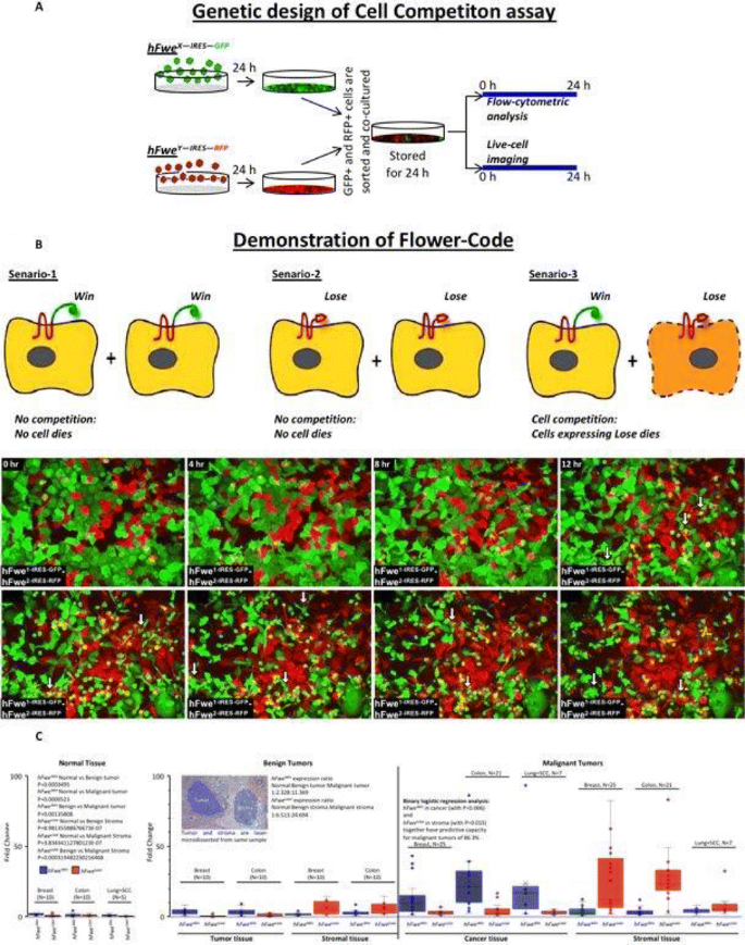 figure 65