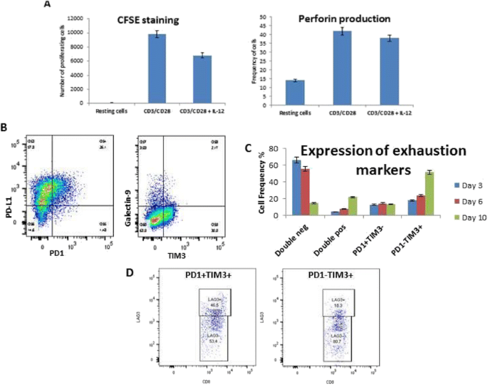 figure 105