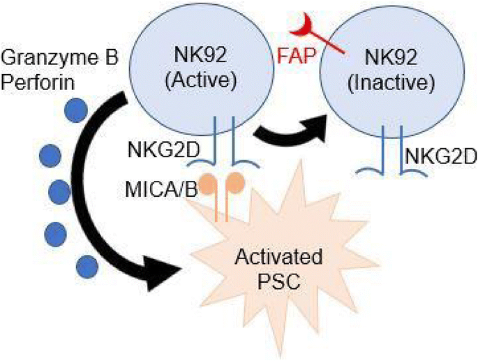 figure 50