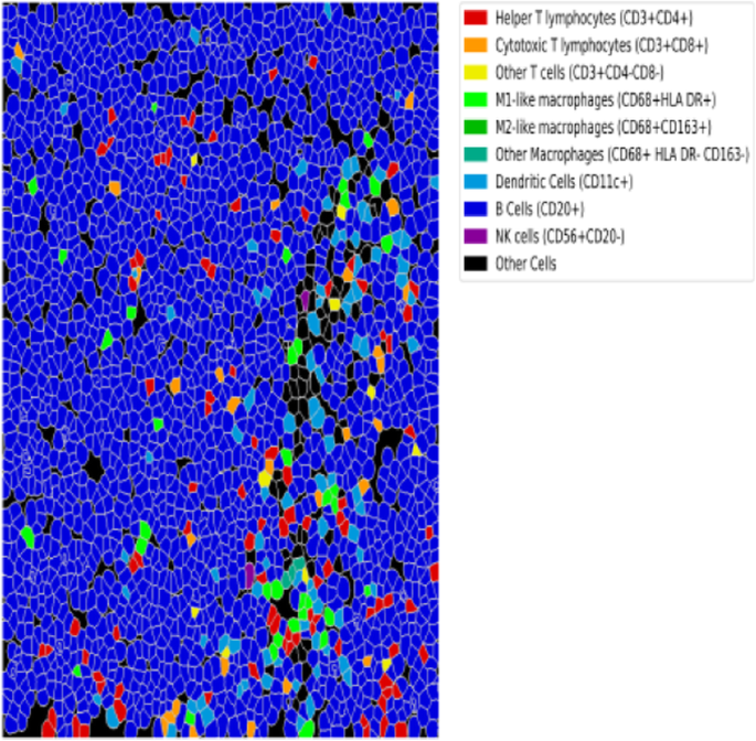 figure 19