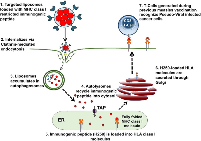 figure 42