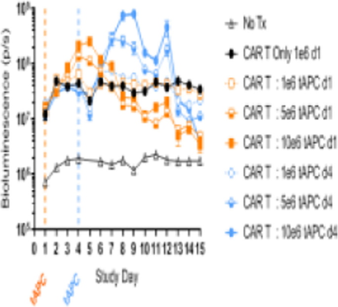 34th Annual Meeting & Pre-Conference Programs of the Society for  Immunotherapy of Cancer (SITC 2019): part 1 | SpringerLink