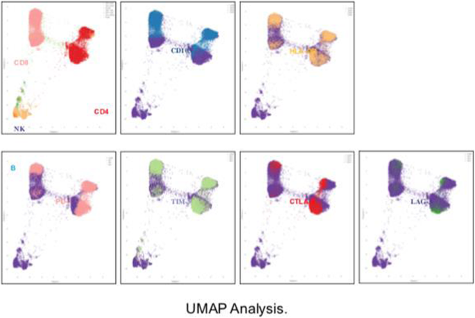 figure 106