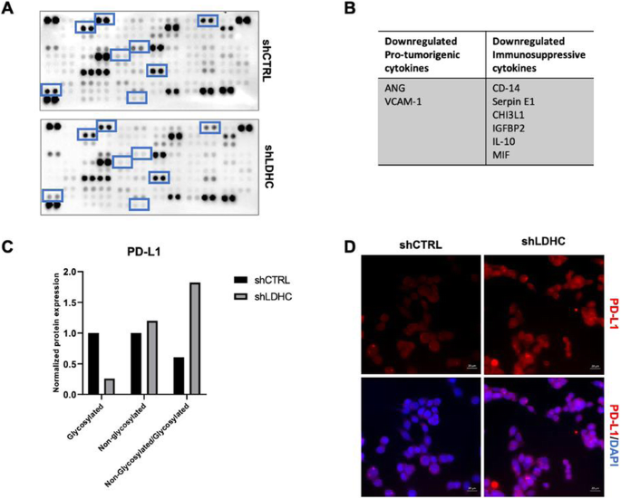 figure 117