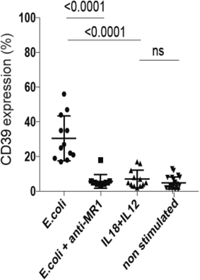 figure 139