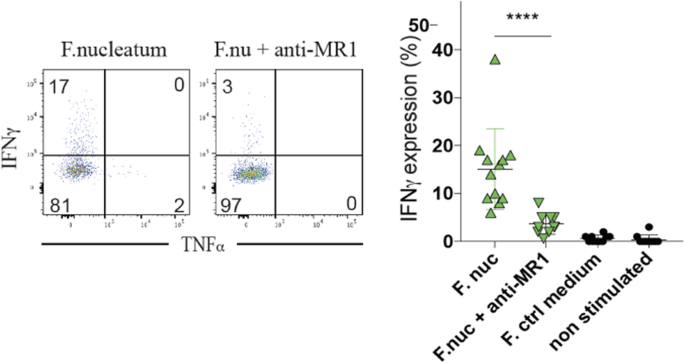 figure 143