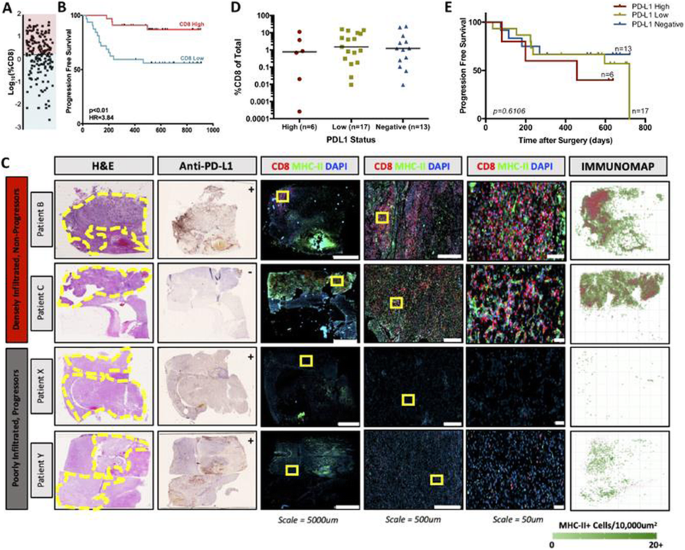 figure 144