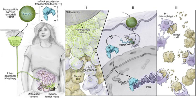 figure 156