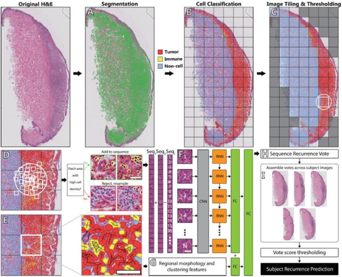 figure 71