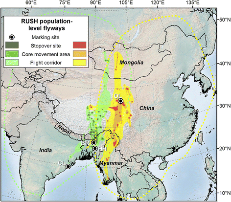 Mapping Migratory Flyways In Asia Using Dynamic Brownian Bridge Movement Models Movement Ecology Full Text