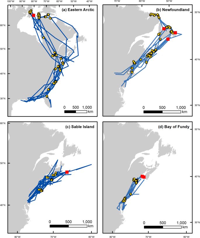 Both short and long distance migrants use energy-minimizing migration  strategies in North American herring gulls | Movement Ecology | Full Text