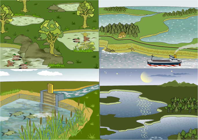 A role for lakes in revealing the nature of animal movement using high  dimensional telemetry systems | Movement Ecology | Full Text