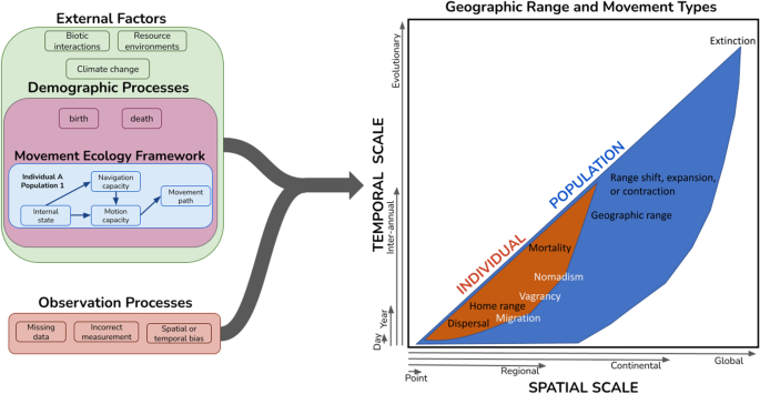 Estimating the movements of terrestrial animal populations using broad-scale  occurrence data | Movement Ecology | Full Text