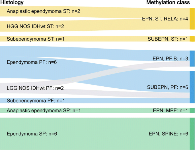 Methylation Array Profiling Of Adult Brain Tumours Diagnostic Outcomes In A Large Single Centre Acta Neuropathologica Communications Full Text