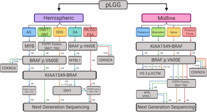 Pediatric low-grade glioma in the era of molecular diagnostics | Acta  Neuropathologica Communications | Full Text