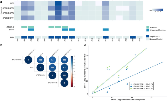 Simultaneous detection of EGFR amplification and EGFRvIII variant using  digital PCR-based method in glioblastoma | Acta Neuropathologica  Communications | Full Text