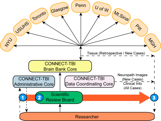 COllaborative Neuropathology NEtwork Characterizing ouTcomes of ...