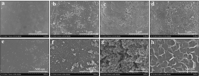 Supercapacitive Performance Of Vanadium Sulfide Deposited On Stainless Steel Mesh Effect Of Etching Micro And Nano Systems Letters Full Text