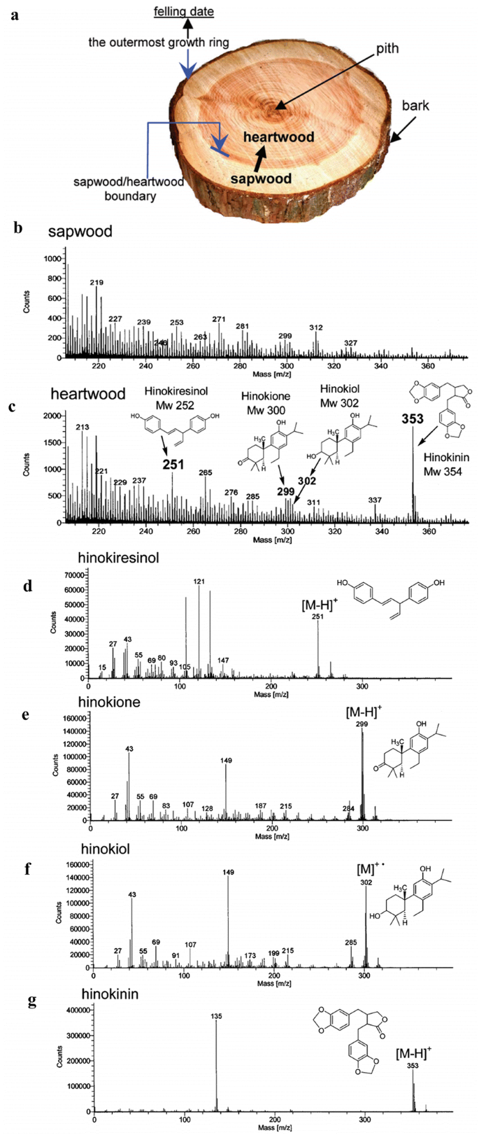 figure 28