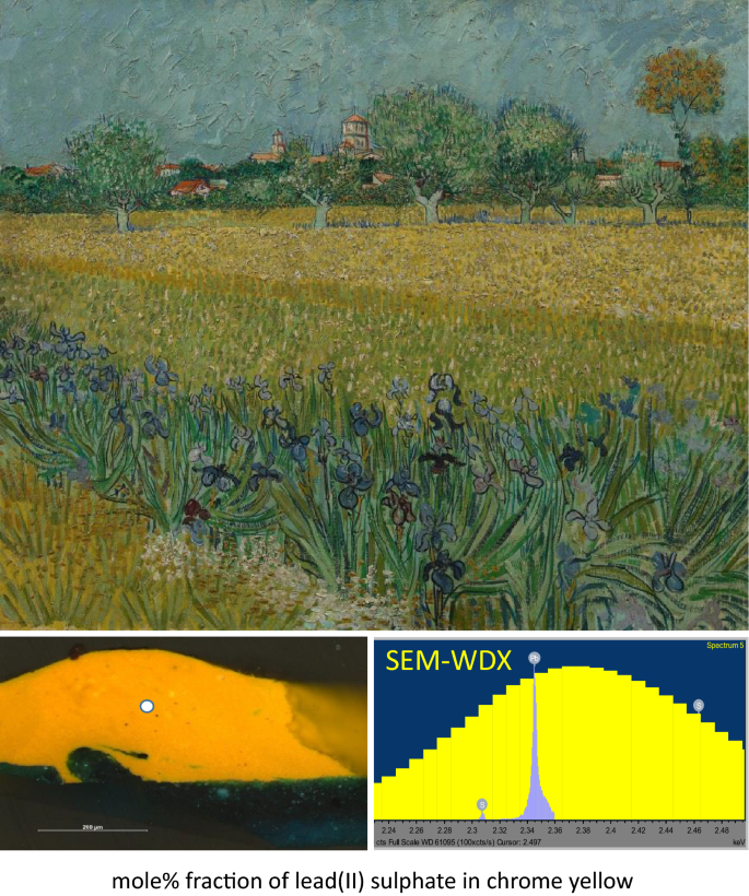 The examination of Van Gogh's chrome yellow pigments in 'Field with Irises  near Arles' using quantitative SEM–WDX | Heritage Science | Full Text