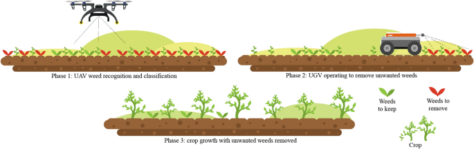 weed management research papers